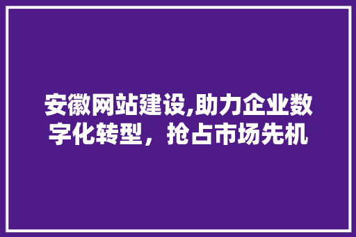 安徽网站建设,助力企业数字化转型，抢占市场先机