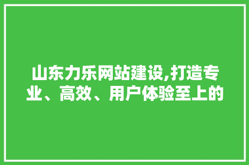 山东力乐网站建设,打造专业、高效、用户体验至上的网络平台
