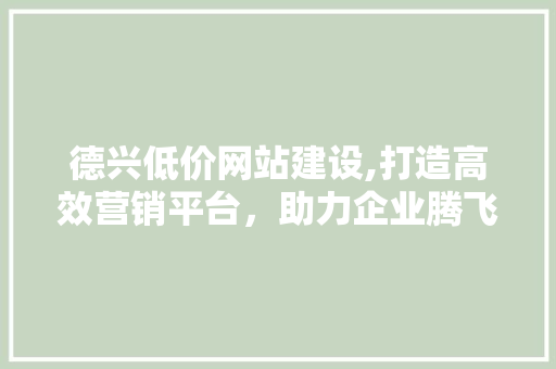 德兴低价网站建设,打造高效营销平台，助力企业腾飞