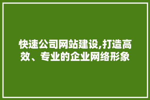 快速公司网站建设,打造高效、专业的企业网络形象