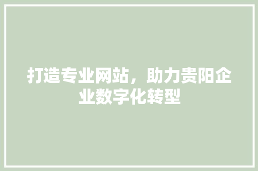 打造专业网站，助力贵阳企业数字化转型