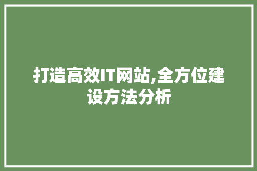 打造高效IT网站,全方位建设方法分析