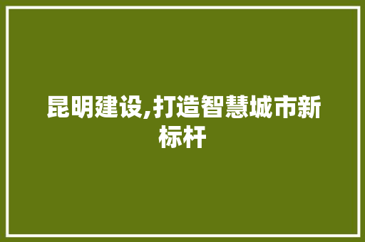 昆明建设,打造智慧城市新标杆