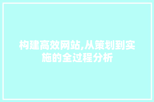 构建高效网站,从策划到实施的全过程分析