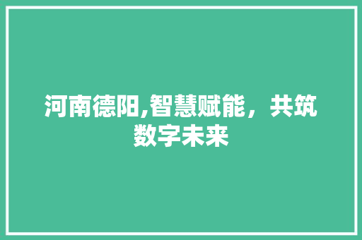 河南德阳,智慧赋能，共筑数字未来