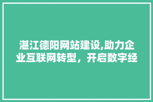 湛江德阳网站建设,助力企业互联网转型，开启数字经济新篇章