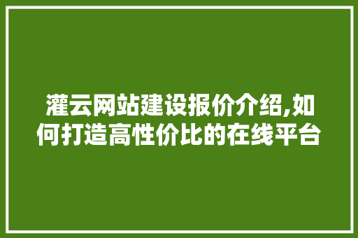 灌云网站建设报价介绍,如何打造高性价比的在线平台