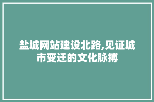 盐城网站建设北路,见证城市变迁的文化脉搏