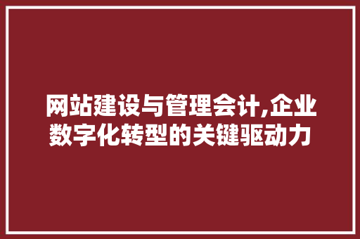 网站建设与管理会计,企业数字化转型的关键驱动力