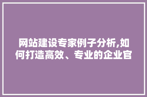 网站建设专家例子分析,如何打造高效、专业的企业官网