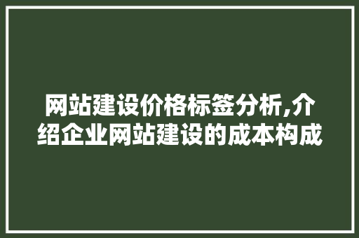 网站建设价格标签分析,介绍企业网站建设的成本构成与价值
