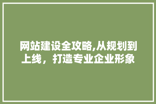 网站建设全攻略,从规划到上线，打造专业企业形象