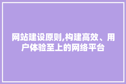 网站建设原则,构建高效、用户体验至上的网络平台