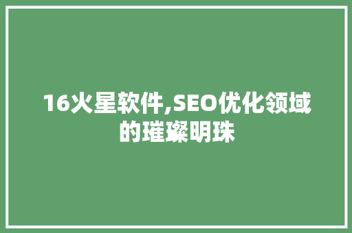 16火星软件,SEO优化领域的璀璨明珠