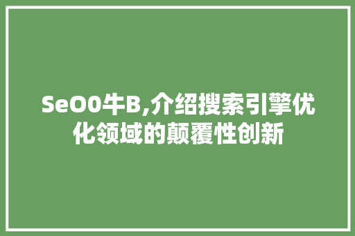 SeO0牛B,介绍搜索引擎优化领域的颠覆性创新