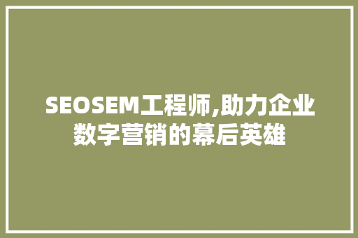 SEOSEM工程师,助力企业数字营销的幕后英雄