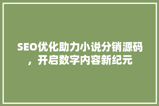SEO优化助力小说分销源码，开启数字内容新纪元 建站教程