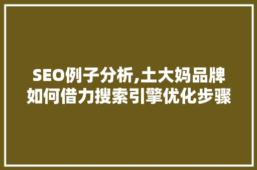SEO例子分析,土大妈品牌如何借力搜索引擎优化步骤赢得市场青睐