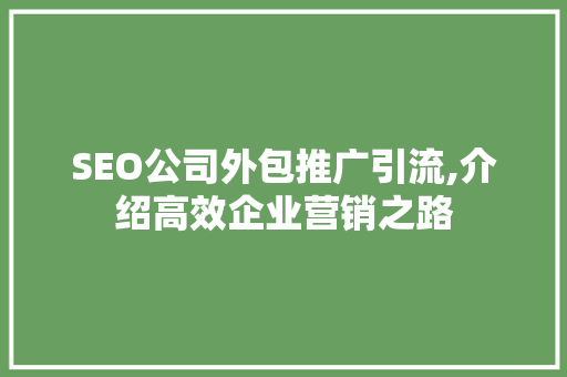 SEO公司外包推广引流,介绍高效企业营销之路