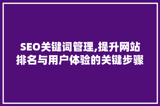 SEO关键词管理,提升网站排名与用户体验的关键步骤