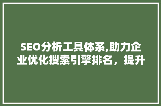 SEO分析工具体系,助力企业优化搜索引擎排名，提升网站流量