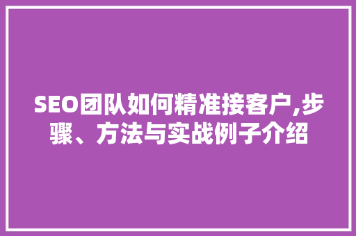 SEO团队如何精准接客户,步骤、方法与实战例子介绍