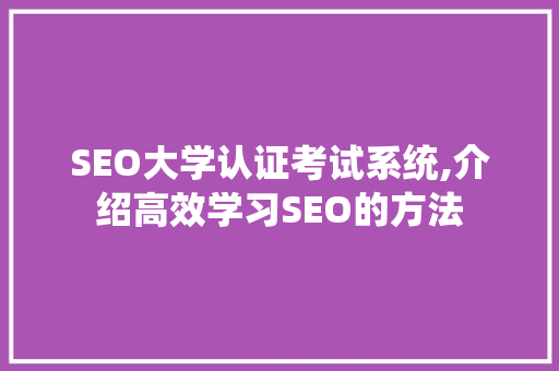 SEO大学认证考试系统,介绍高效学习SEO的方法