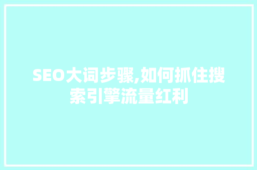 SEO大词步骤,如何抓住搜索引擎流量红利