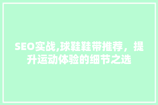 SEO实战,球鞋鞋带推荐，提升运动体验的细节之选