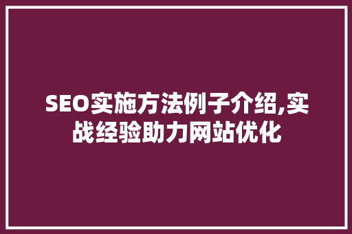 SEO实施方法例子介绍,实战经验助力网站优化