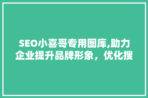 SEO小喜哥专用图库,助力企业提升品牌形象，优化搜索引擎排名 服务器/数据库