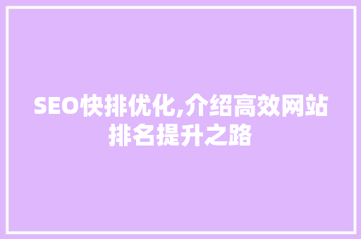 SEO快排优化,介绍高效网站排名提升之路