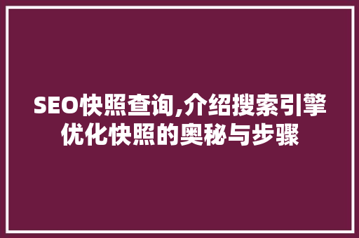 SEO快照查询,介绍搜索引擎优化快照的奥秘与步骤