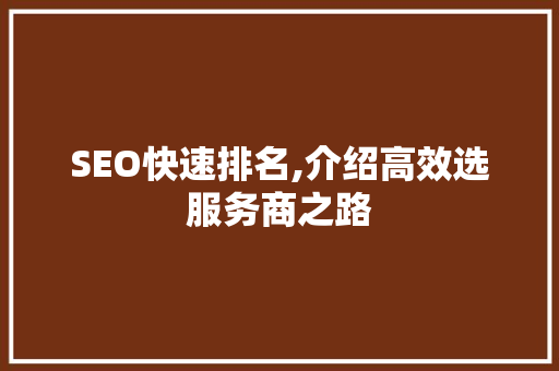 SEO快速排名,介绍高效选服务商之路