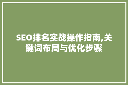 SEO排名实战操作指南,关键词布局与优化步骤