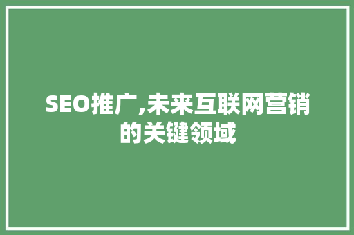 SEO推广,未来互联网营销的关键领域