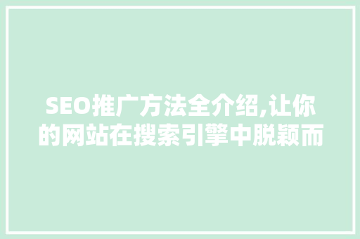 SEO推广方法全介绍,让你的网站在搜索引擎中脱颖而出