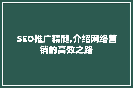 SEO推广精髓,介绍网络营销的高效之路