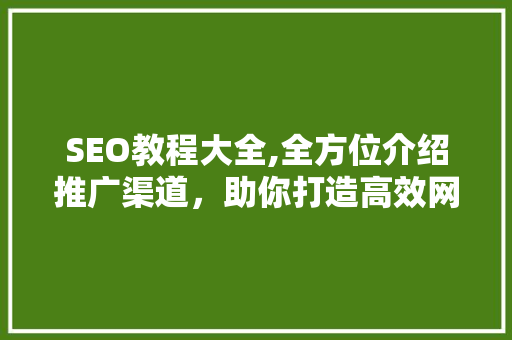 SEO教程大全,全方位介绍推广渠道，助你打造高效网络营销步骤