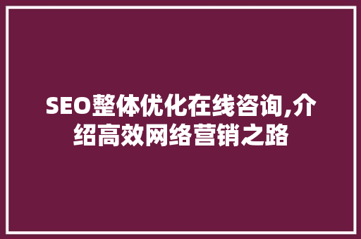 SEO整体优化在线咨询,介绍高效网络营销之路