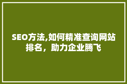 SEO方法,如何精准查询网站排名，助力企业腾飞