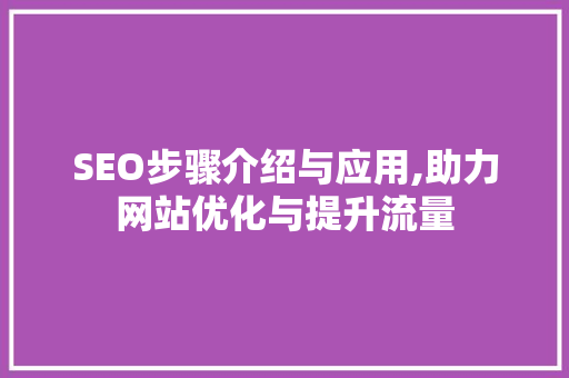 SEO步骤介绍与应用,助力网站优化与提升流量 服务器/数据库