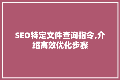 SEO特定文件查询指令,介绍高效优化步骤