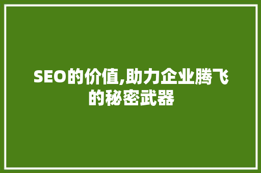SEO的价值,助力企业腾飞的秘密武器