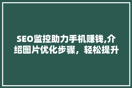 SEO监控助力手机赚钱,介绍图片优化步骤，轻松提升收入！