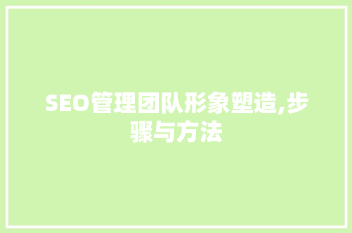 SEO管理团队形象塑造,步骤与方法