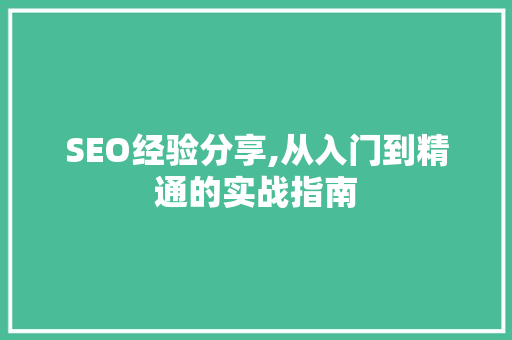 SEO经验分享,从入门到精通的实战指南
