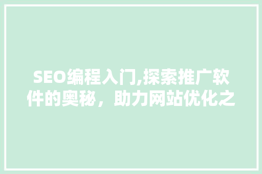 SEO编程入门,探索推广软件的奥秘，助力网站优化之路