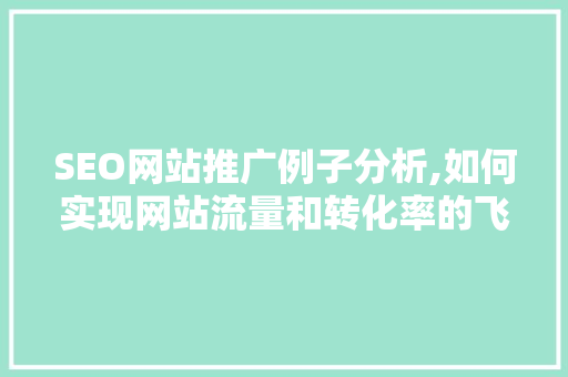 SEO网站推广例子分析,如何实现网站流量和转化率的飞跃