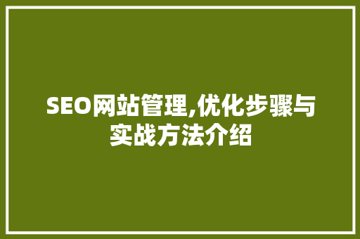 SEO网站管理,优化步骤与实战方法介绍